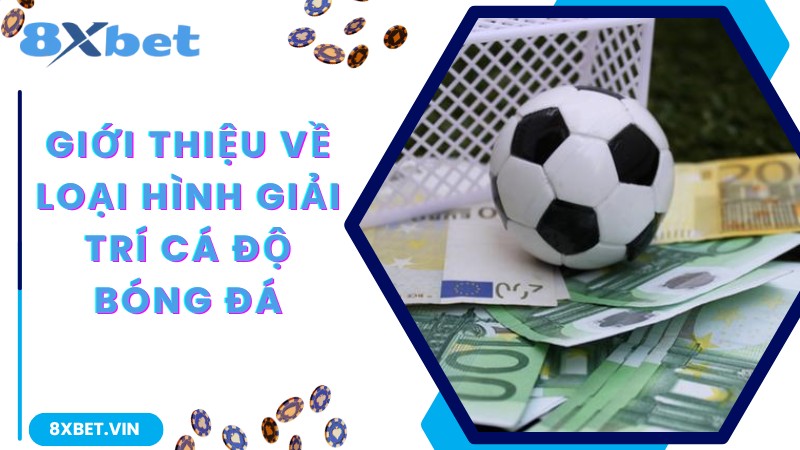 Bật Mí Kinh Nghiệm Chơi Cá Độ Bóng Đá Thắng Lớn Tại 8Xbet 1 Giới thiệu về loại hình giải trí cá độ bóng đá